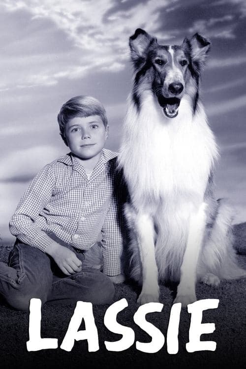 Series poster